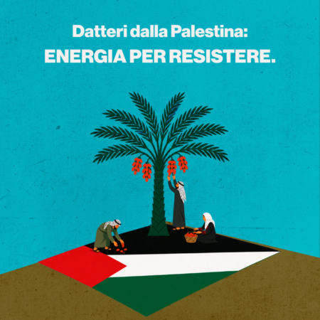 1Datteri dalla Palestina